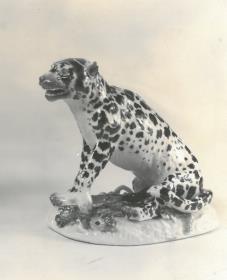 Sitzender Leopard