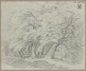 Undine. Oper von E. T. A. Hoffmann. Vorstudie zum Entwurf zur 7. Dekoration. Dichter Wald mit Brücke über einen Bach. Waldpartie