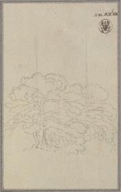 Baumstudie
