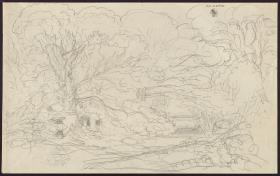Eine Waldlandschaft