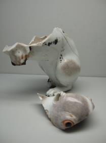 Sitzende dänische Hündin