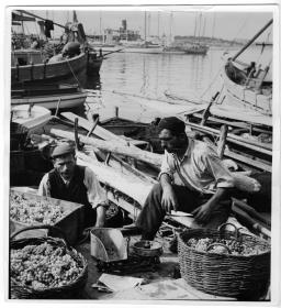 Traubenverkäufer am Hafen in Split