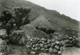 Mamancanaca
