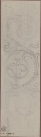 Ornament. Ranke