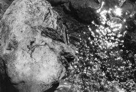 Ohne Titel