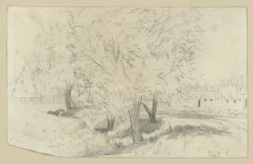 Baumgruppe an einem Bach mit Brücke im Hintergund links, rechts im Hintergrund Gebäude, Studie zu "Bauplatz mit Weiden", 1846 (ANG, A I 900)