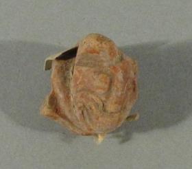 Tierkopf