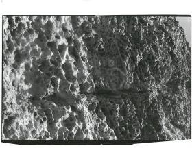 Malta, an der Steilküste