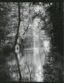 Ohne Titel
