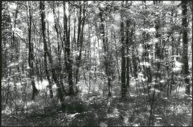 Ohne Titel