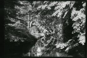 Ohne Titel