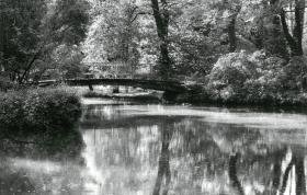 Ohne Titel