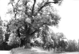 Ohne Titel