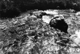 Ohne Titel