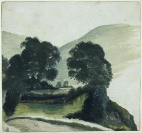 Baumgruppe mit Weg im Gebirge