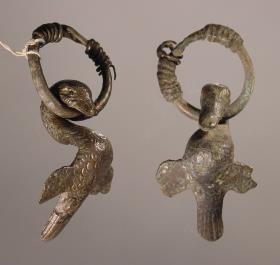 Ente mit Ring