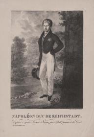 Porträt des François Charles Joseph Napoleon II., Herzog von Reichstadt