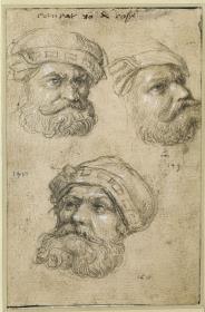 Kunz von der Rosen, Hofnarr des Kaisers Maximilians I. (drei Kopfstudien)