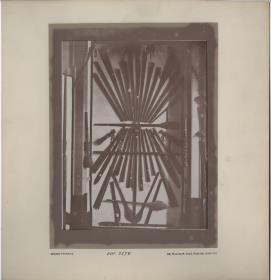 Anthropologische Ausstellung in Rio de Janeiro 1882