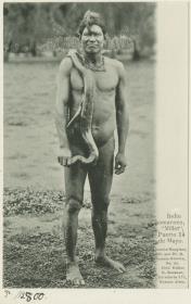 Indio Chamacoco, "Millet", Puerto 14 de Mayo