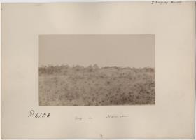 Dorf der Mehinaku