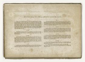 12 Umrisse zum Leben Raphaels von Urbino. Inhalt 1