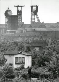 Schrebergärten im  Ruhrgebiet (Ruhrkohle)