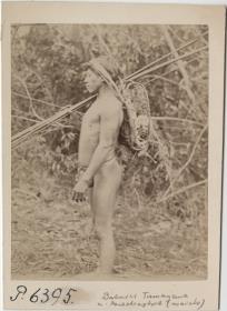 Der Bakairi Tumayaua