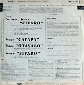 Jivaro
