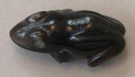 Frosch