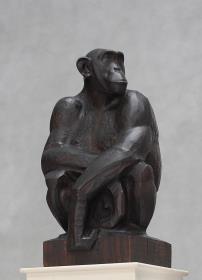 Schimpansin ("Missie")