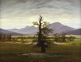 Der einsame Baum