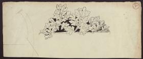 Akanthus (?)