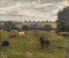 Weide mit Kühen und Pony