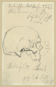 Schädel des Hans Karl von Winterfeldt