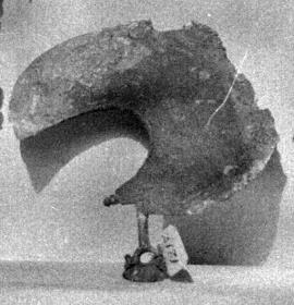 Sichelförmiges Rasiermesser