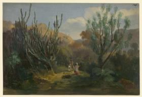 Landschaftsbild mit Kandelaberkakteen. Vegetation von Texcoco