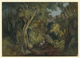Vegetation in der Schlucht von Tuzamapa