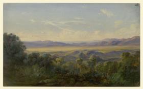 Landschaft am Abhang des Vulkans Colima