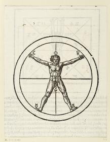 Nackter Mann mit sechs Himmelszeichen an der Figur