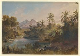 Landschaft am Abhang des Vulkans Colima