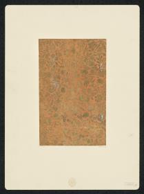Brokatpapier (kräftige Ranken mit Blüten und Früchten)