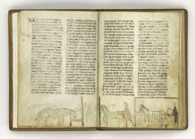 Giordano Rosso, Libro delle Mariscalcie dei cavalli. Füttern und Striegeln der pferde