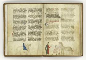 Giordano Rosso, Libro delle Mariscalcie dei cavalli. Bewegen eines Pferdes