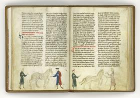 Giordano Rosso, Libro delle Mariscalcie dei cavalli. Pferdekauf