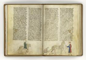 Giordano Rosso, Libro delle Mariscalcie dei cavalli. Aderlass eines Pferdes am Schenkel
