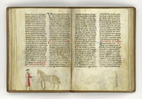 Giordano Rosso, Libro delle Mariscalcie dei cavalli. Pferd mit einer Leibbinde