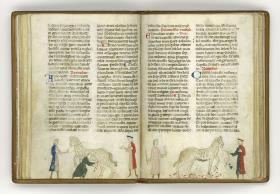 Giordano Rosso, Libro delle Mariscalcie dei cavalli. Kastration eines Hengstes