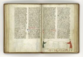 Giordano Rosso, Libro delle Mariscalcie dei cavalli.