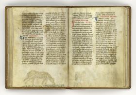 Giordano Rosso, Libro delle Mariscalcie dei cavalli.